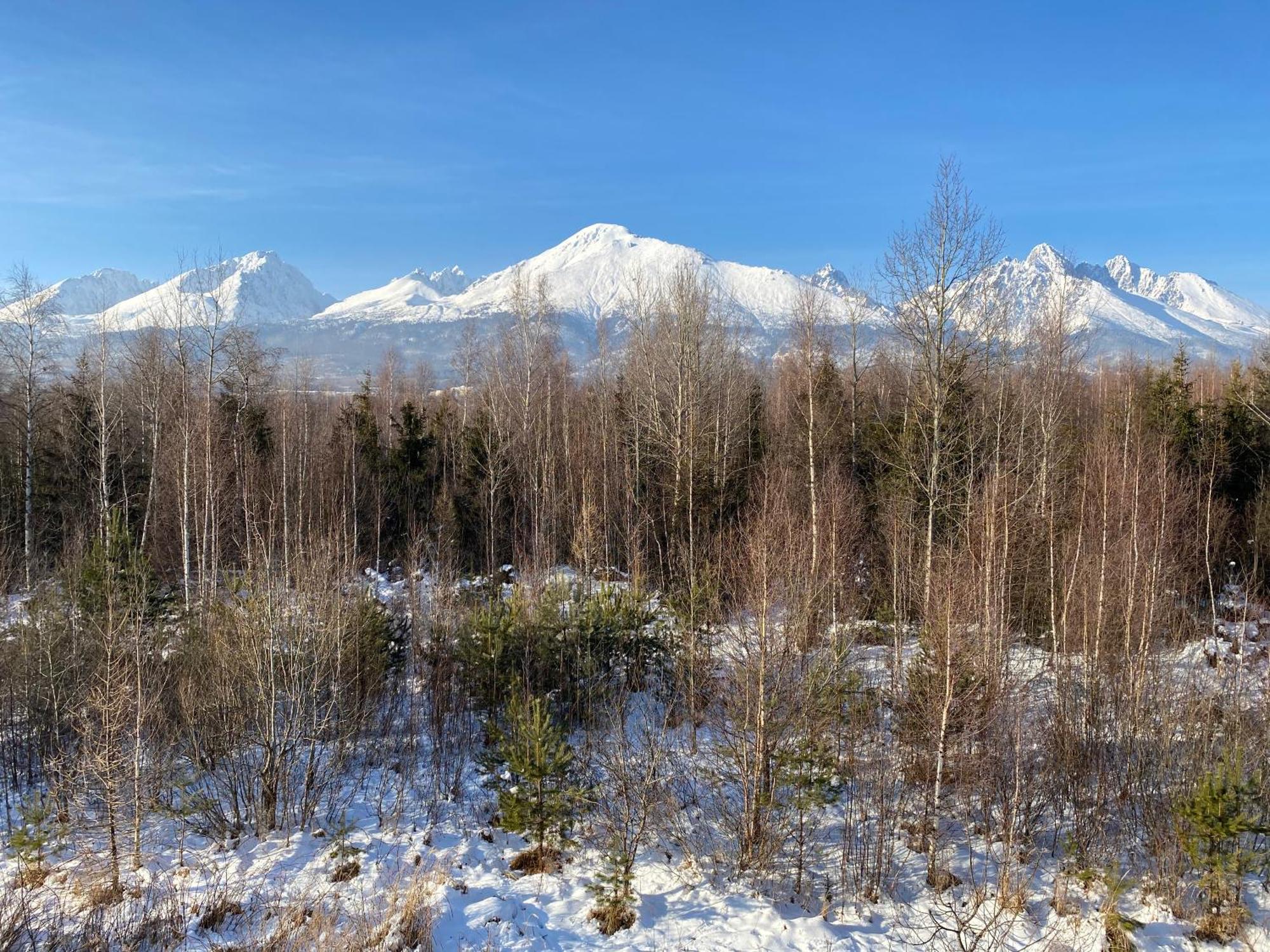 Apartman S Nadhernym Vyhladom Na Tatry Вельки-Славков Экстерьер фото